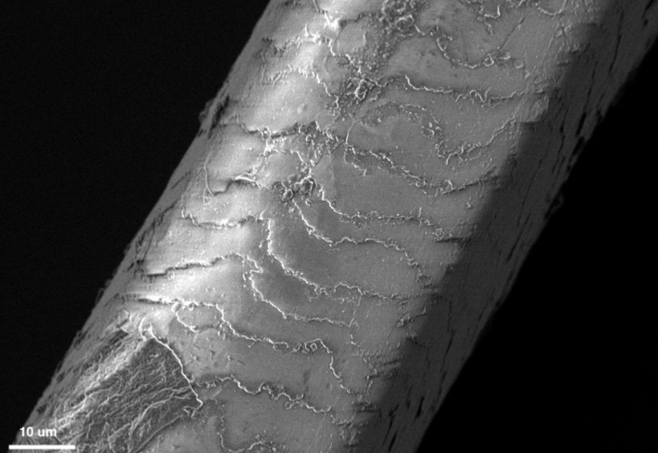 scale_2400 (1).png scale_2400 (1).png