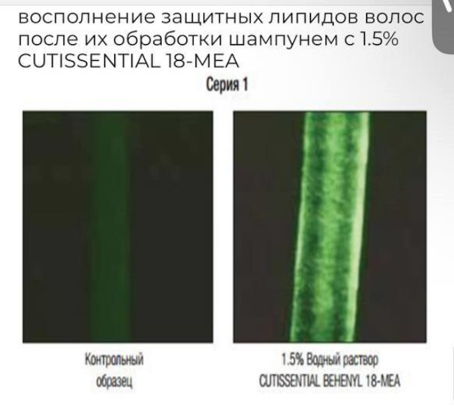 scale_2400 (4).png scale_2400 (4).png